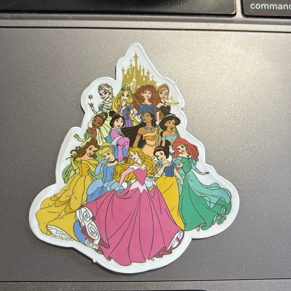 DISNEY PRINCESS GROUP WITH CASTLE STICKER